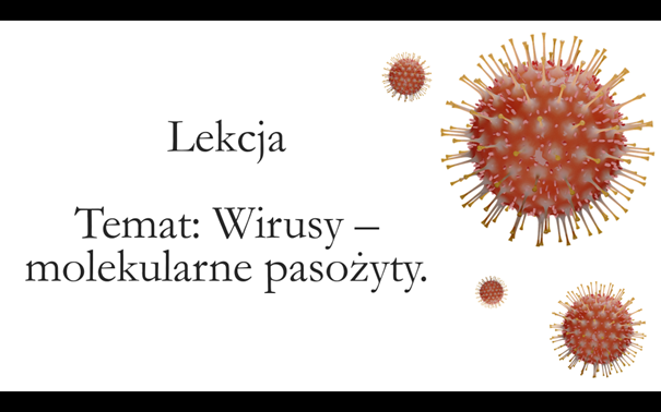 Liceum klasa 2 ( zakres rozszerzony) - Wirusy - prezentacja