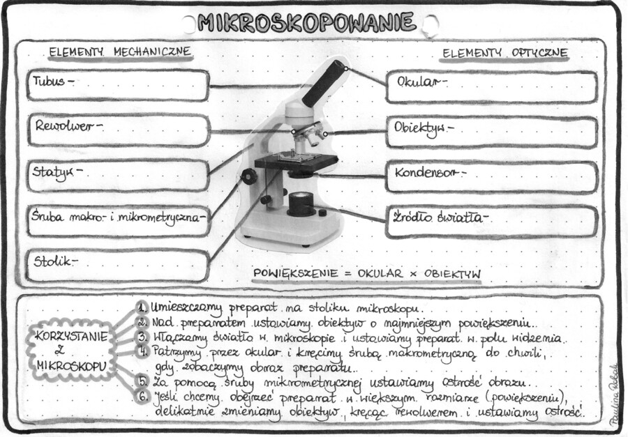 Mikroskopowanie - szarość