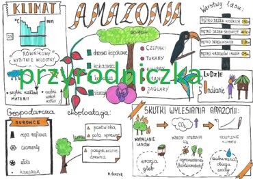 Geografia. Amazonia sketchnotka