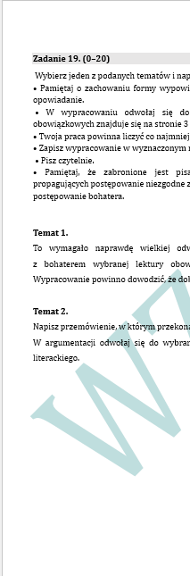 PRÓBNY EGZAMIN Z JĘZYKA POLSKIEGO JUŻ DLA SZÓSTOKLASISTY - CHŁOPCY Z PLACU BRONI