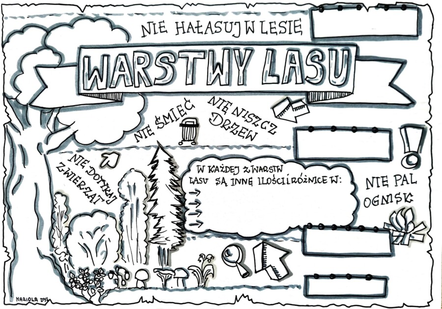 Warstwy lasu. Kolorowanka .klasa 4