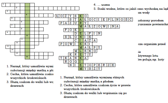 Ssaki - podsumowanie lekcji o ssakach - logogryf dla klasy 6