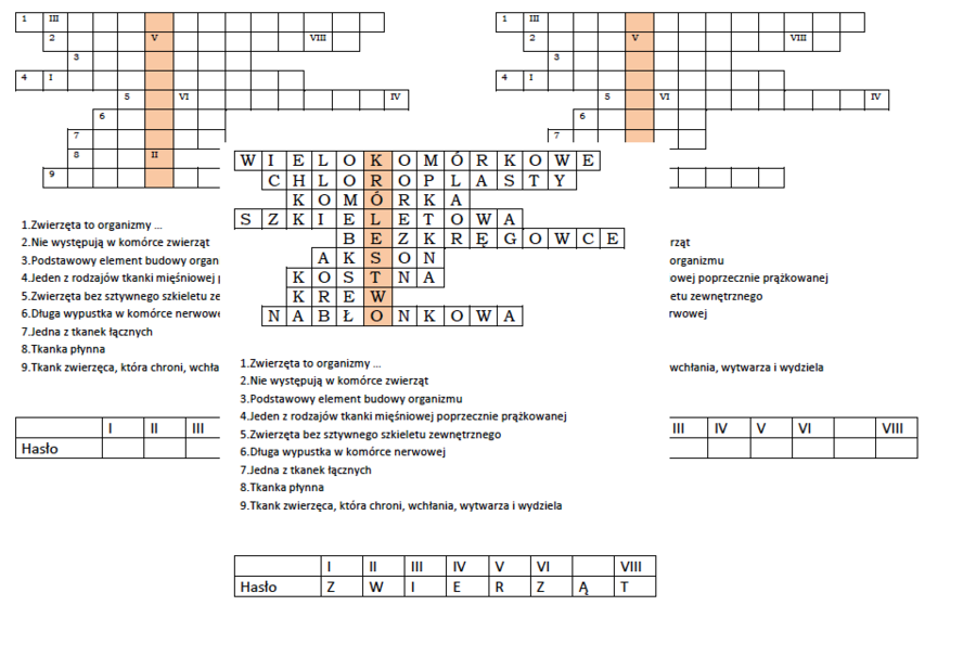 Logogryf dla klasy 6 na podsumowanie 1 działu "Świat zwierząt"