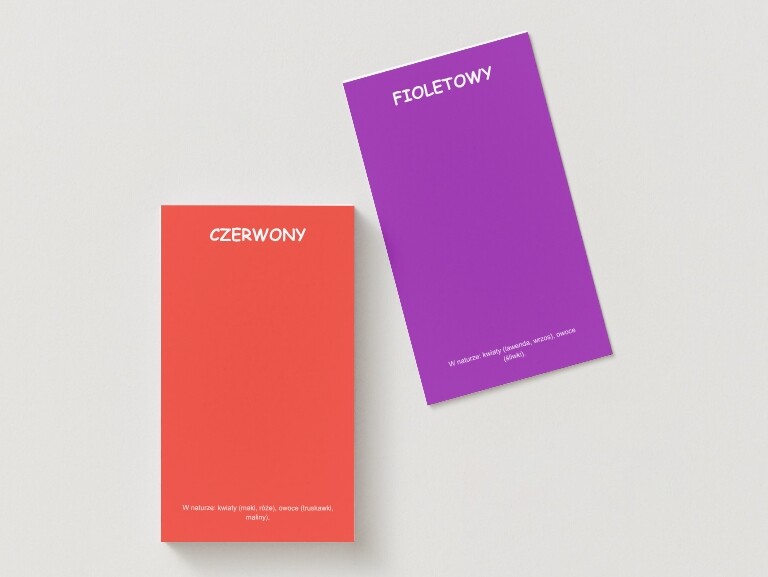 "Znajdź swój kolor". Poszukiwanie elementów przyrody w określonym kolorze. (liść, kamyk, gałązka)