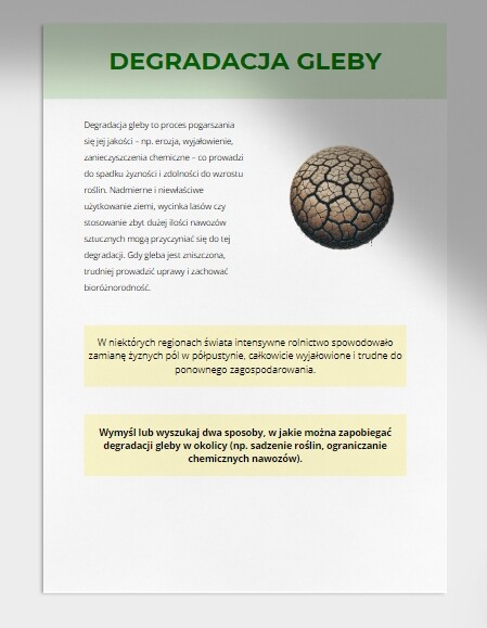 Mini słownik pojęć ekologicznych (ekosystem, bioróżnorodność, recykling i wiele innych)