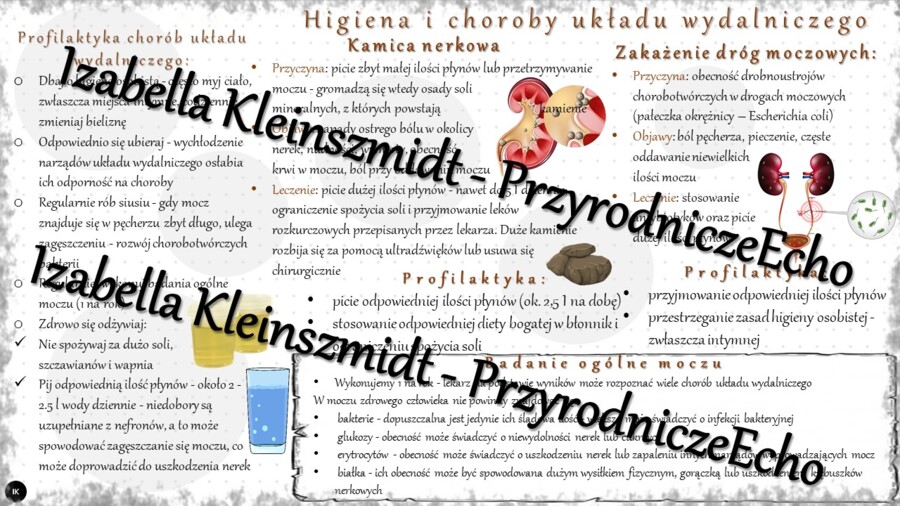 Sketchnotka - notatka „Higiena i choroby układu wydalniczego” wykonana w power point do edycji. Biologia 7; „Układ wydalniczy”