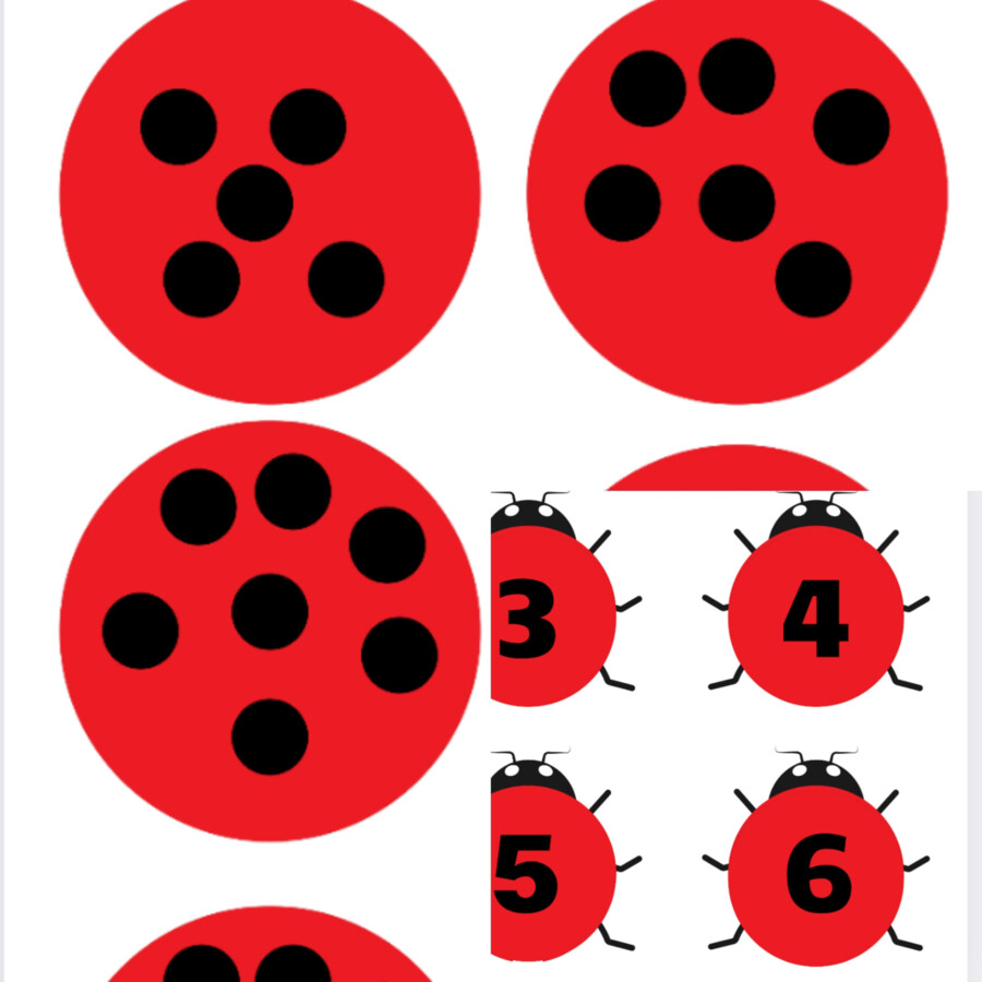 Matematyczne biedronki