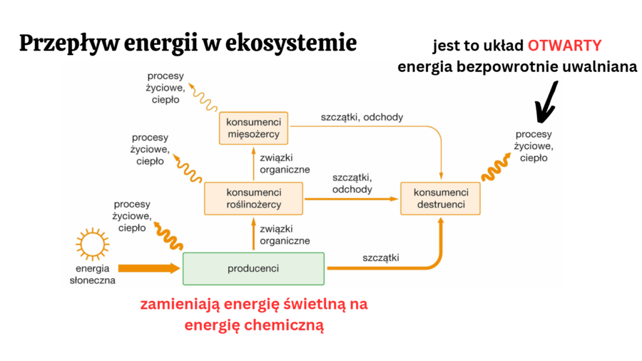 ekologia i różnorodność biologiczna KLASA 4 RZOSZERZENIE BIOLOGIA