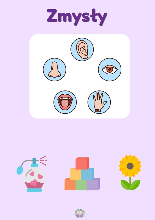 Akademia Pięciu Zmysłów – Wielki Pakiet Edukacyjny (23 strony)