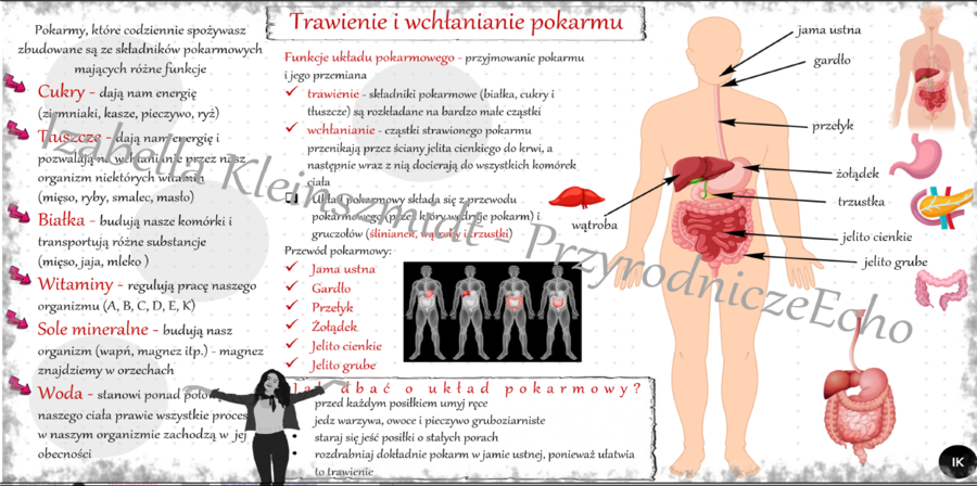 Sketchnotka „Trawienie i wchłanianie pokarmu” w power point do edycji, PRZYRODA do klasy 4 – dział IV „Odkrywamy tajemnice ciała człowieka”