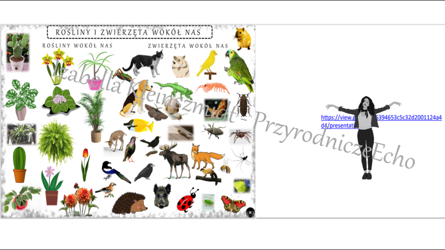 Karta pracy do tematu „Rośliny i zwierzęta wokół nas” oraz gratisowo pomysł na lekcję multimedialną z monitorem multimedialnym lub z tabletami (w formie niekomercyjnej prezentacji do edycji – krok po kroku) wykonany w genially Przyroda SP – klasa 4, dzia