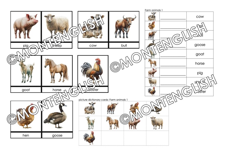 Zestaw kart obrazkowych: FARMS ANIMALS SET 1