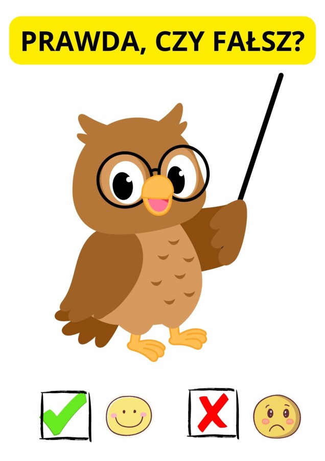 Czytanie ze zrozumieniem – prawda czy fałsz