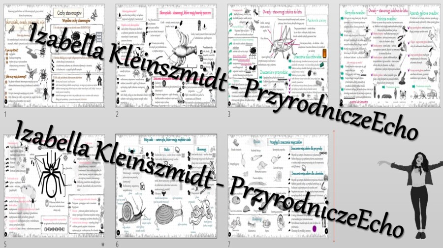 Zestaw sketchnotek – notatek do całego działu „Stawonogi i mięczaki” wykonanych w power point do edycji. Biologia 6