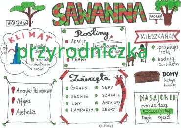 Sawanna (3 karty pracy)