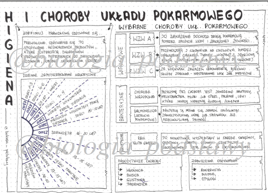 Klasa 7 - Higiena i choroby układu pokarmowego- sketchnotka