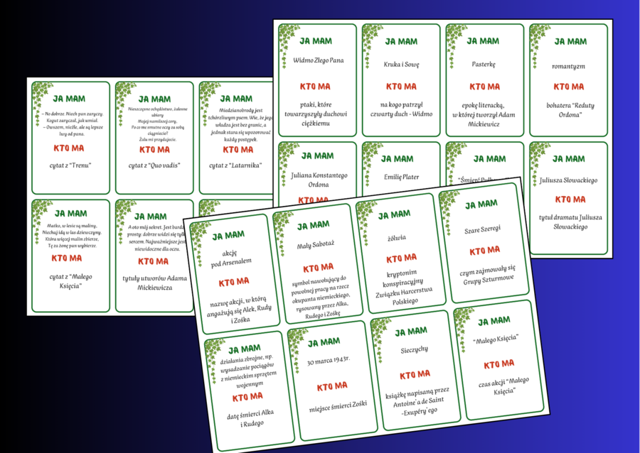 Gra – Ja mam… Kto ma…? – LEKTURY – klasy 4-8 – EGZAMIN – powtórka – 168 szt. - ZESTAW