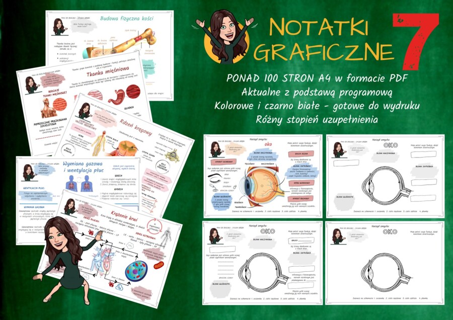 Notatki graficzne BIOLOGIA klasa 7 szkoła podstawowa