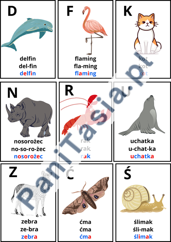 Alfabet zwierzęta na tablicę