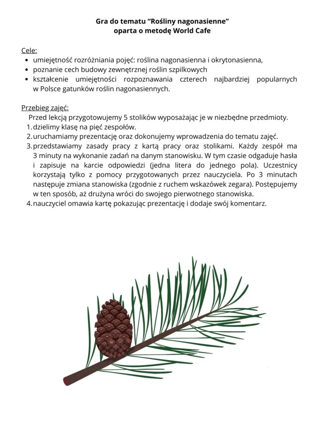 Praca zespołowa w oparciu o metodę World Cafe - rośliny nagonasienne - klasa 5