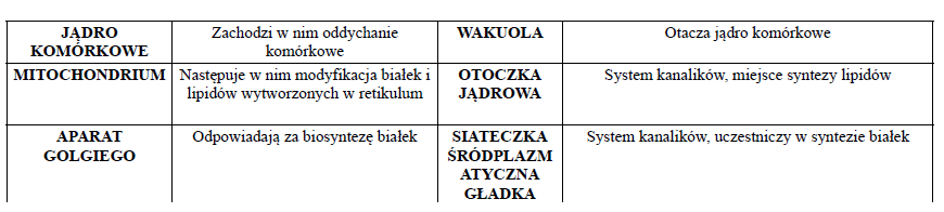 Organella komórkowe-domino