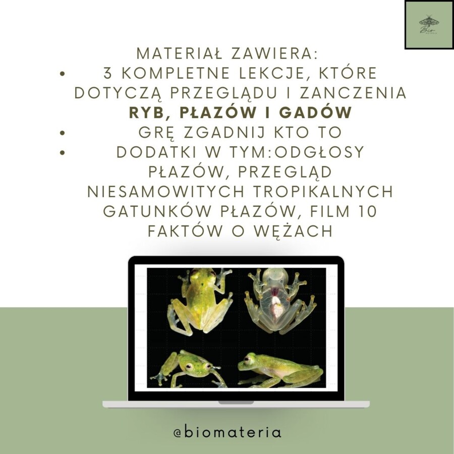 Przegląd kręgowców zmiennocieplnych