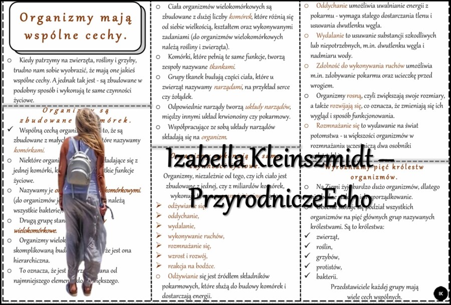 Książeczka/sketchnotka/notatka/wklejka/ściąga dla ucznia i przypomnienie dla nauczyciela/edukacja domowa. Temat „Organizmy mają wspólne cechy” w pdf. Przyroda 4, dział „Poznajemy świat organizmów”. Nowość 2024/2025.