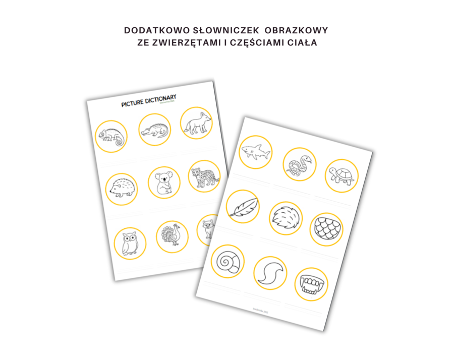 Kids Can 3 Unit 2 Klasa Trzecia Rodział Drugi Dodatkowe Zadania Ćwiczenia Powtórzenie Nazwy Zwierząt Części ciała zwierząt Karty Pracy