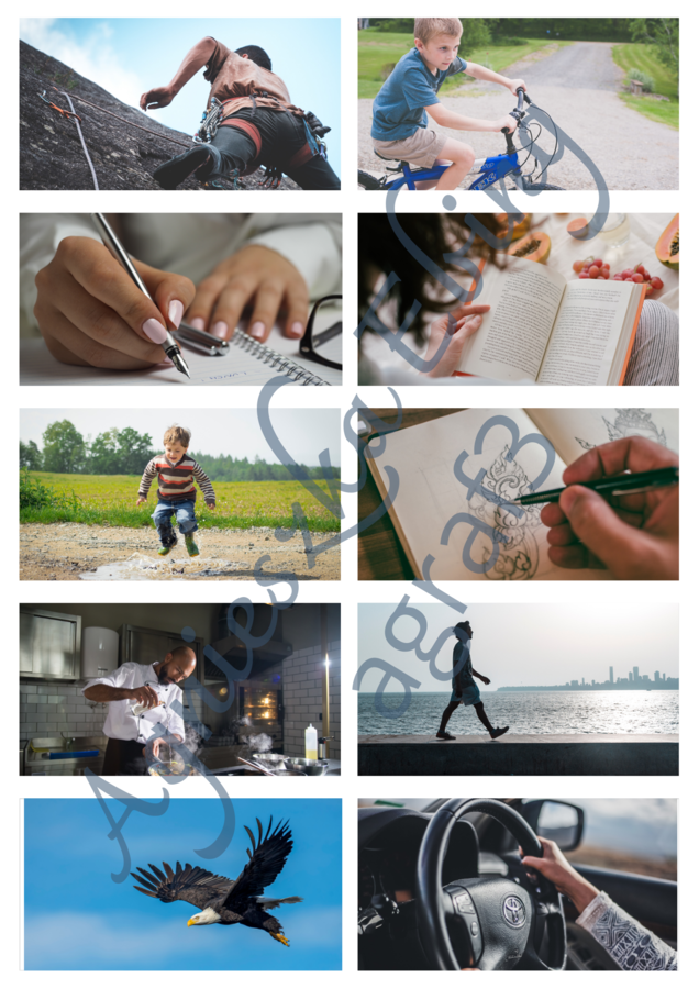 Action Verb and Present Simple Picture and Word Cards