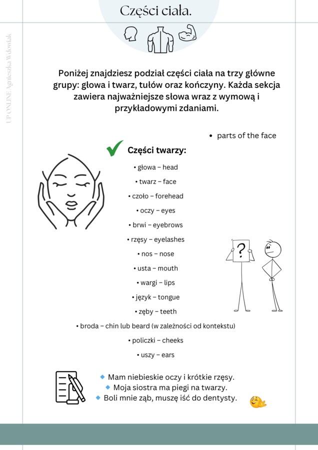 Części ciała workbook + kurs fiszkowy