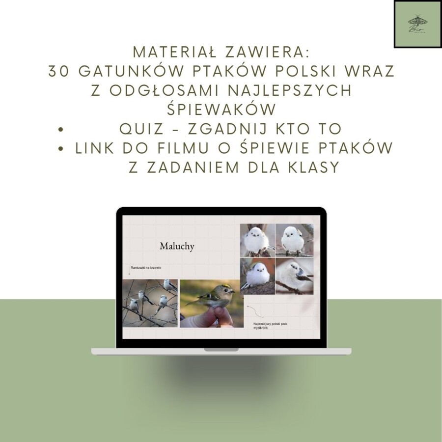 Przegląd PTAKÓW Polski