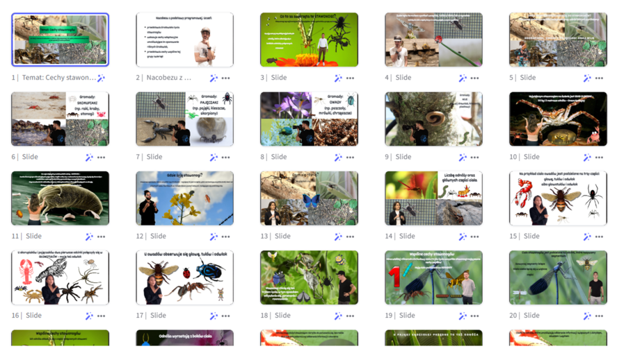 Prezentacja multimedialna w genial.ly „Cechy stawonogów” – do edycji i pobrania – biologia klasa VI, dział III – temat 1