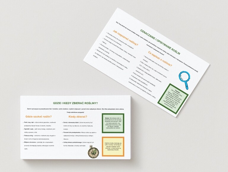 Założenie zielnika (zbieranie liści, suszenie i opisywanie roślin).