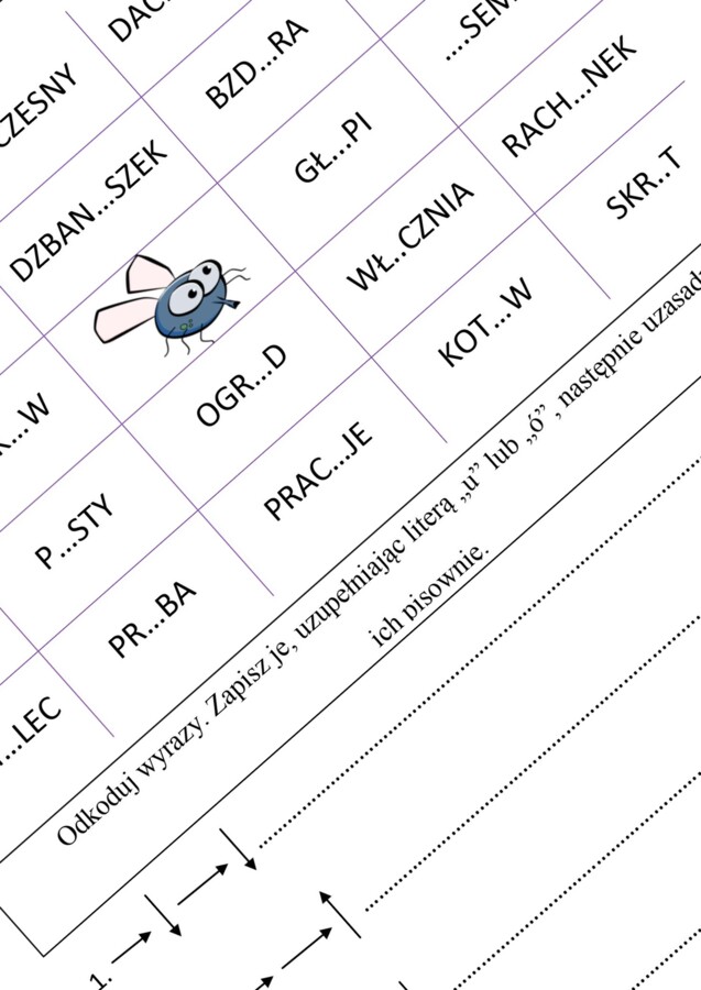 Gra ortograficzna MUCHA z ,,ó" i ,,u"