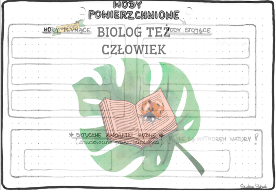 WODY SŁODKIE - Wody powierzchniowe - szarość