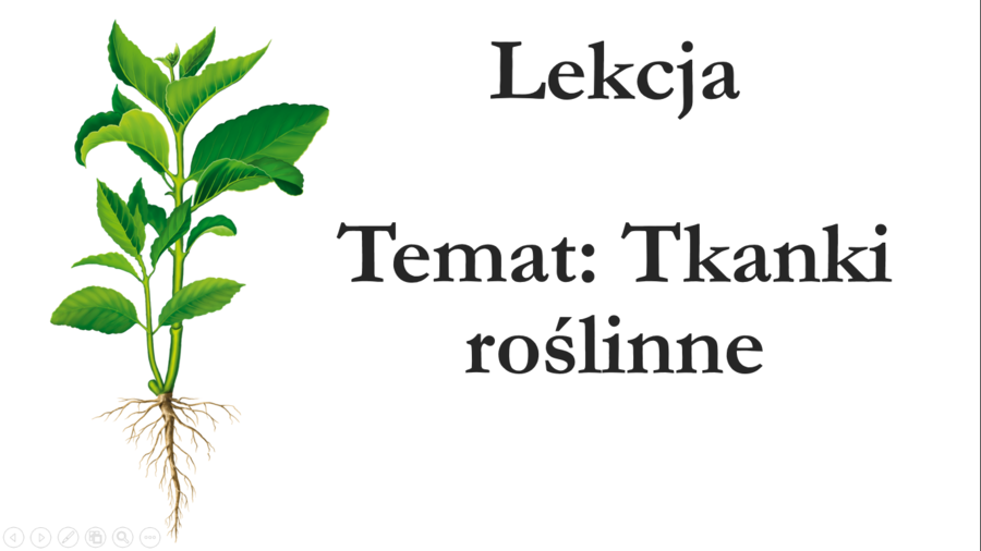 Klasa 5 - Tkanki roślinne - prezentacja