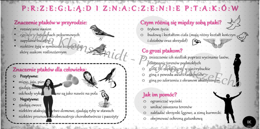 Sketchnotka/notatka do tematu „Przegląd i znaczenie ptaków” – dział V "Kręgowce stałocieplne"