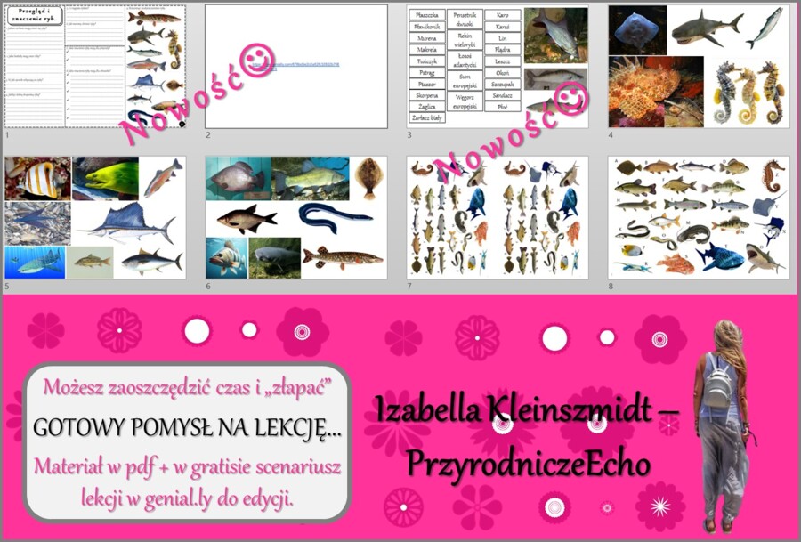 Pomysł na lekcję/karta pracy/stacje zadaniowe/ materiał do lekcji do tematu „Przegląd i znaczenie ryb” w pdf. W gratisie niekomercyjny scenariusz lekcji/pomysł na lekcję w programie genial.ly do edycji. Biologia 6. Dział „Kręgowce zmiennocieplne”.
