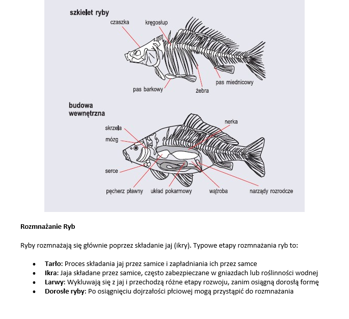 Konspekt i karta pracy