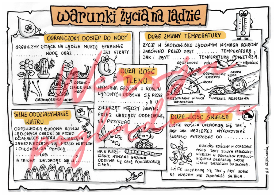 Warunki życia na lądzie -przyroda kl. 4
