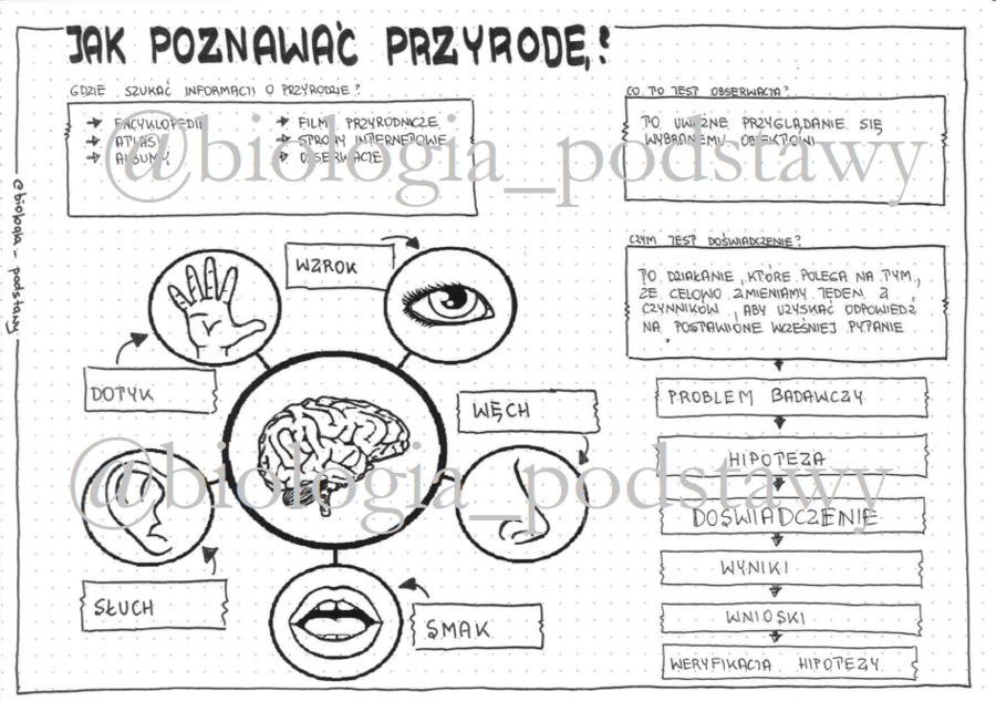 Klasa 4 - Jak poznawać przyrodę - sketchnotka