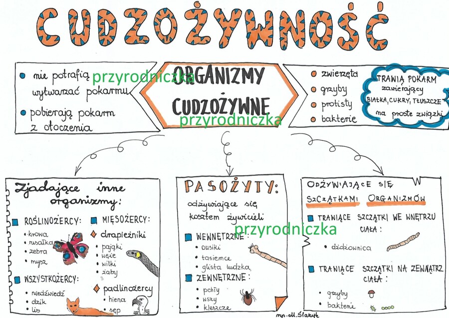 Cudzożywność - 3 karty