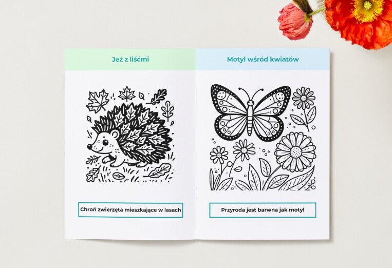 Kolorowanki. Zwierzęta i rośliny