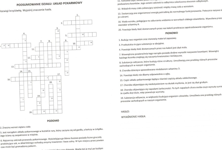 Układ pokarmowy (krzyżówka podsumowanie)