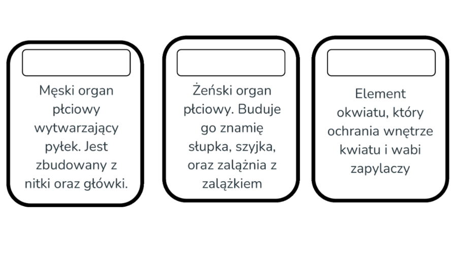 Budowa kwiatu - karty do nauki trójstopniowej