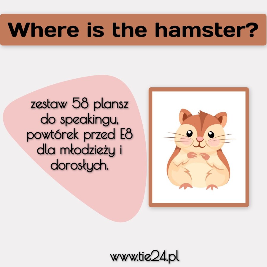 Where is the hamster B1+ E8 - zestaw