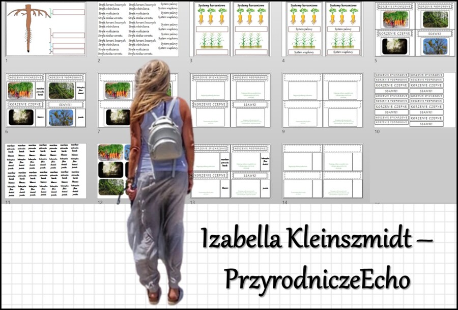 Materiał do zalaminowania/praca w grupach/stacje zadaniowe/układanka/puzzle „Korzeń - organ podziemny rośliny” w pdf. Biologia 5, dział „Tkanki i organy roślinne”.