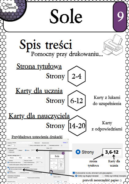 Karty pracy - Klasa 8. Chemia – Zestaw 6 kart pracy do działu 9 "Sole"