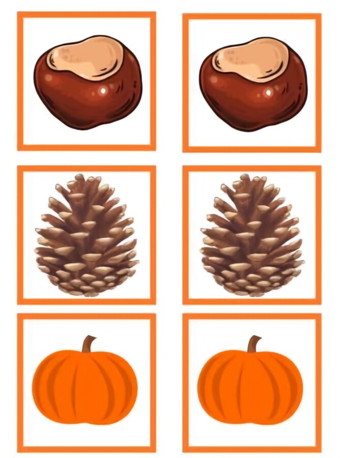 Matematyczna wiewiórka