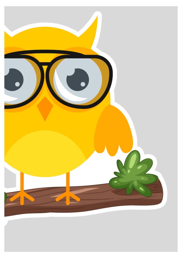 DRUŻYNA ŻYCZLIWYCH SÓWEK - zestaw materiałów